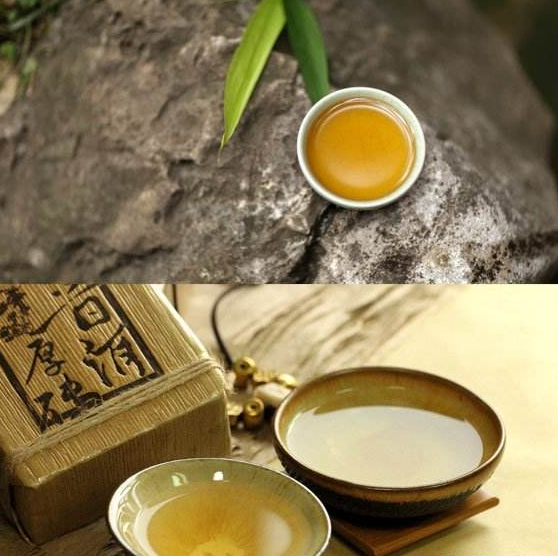  糯米香茶是什么茶 糯米香茶的功效与作用 糯米香茶的产地