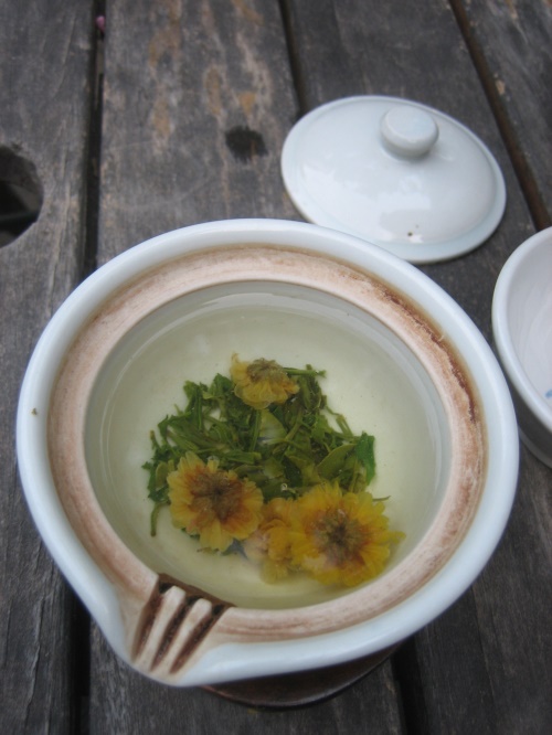 野菊花茶的价格