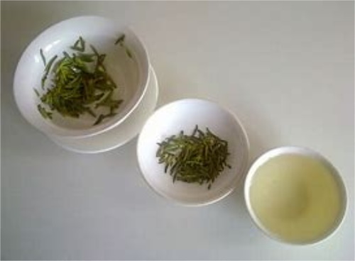 喝菊花茶的7个禁忌